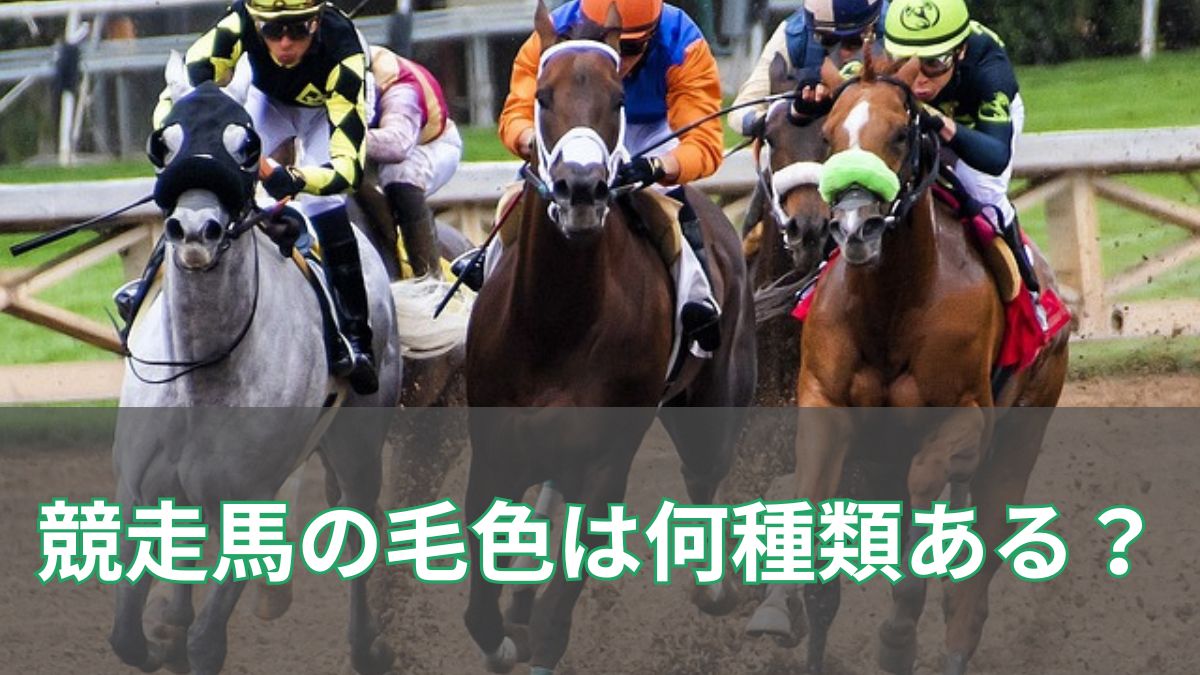 競走馬の毛色は何種類ある?毛色ごとの代表馬も同時解説のアイキャッチ