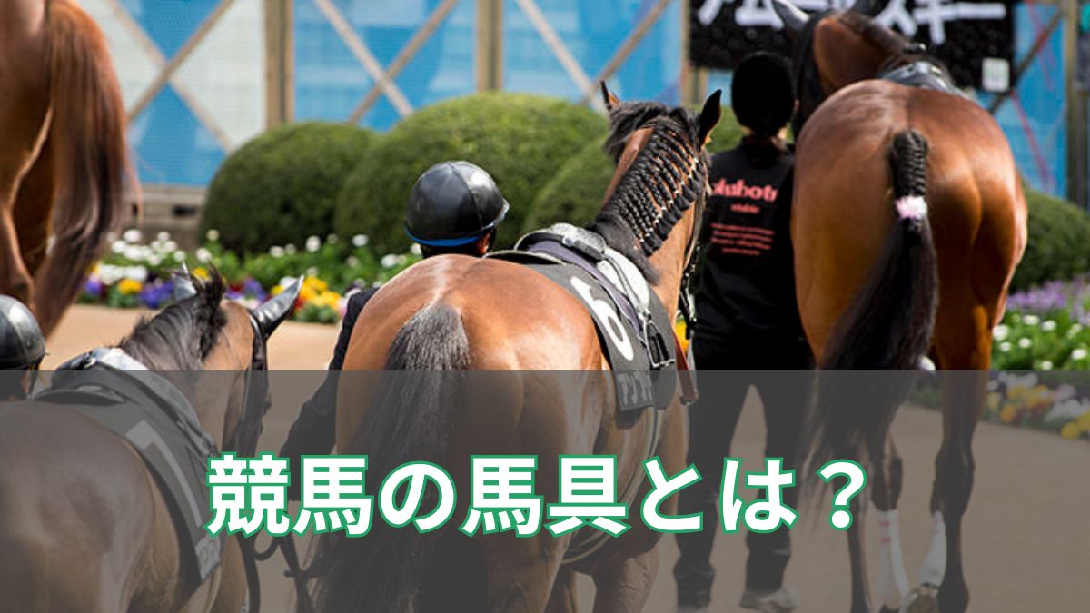 競馬で使用する馬具の効果とは？？ 馬具の名称や効果を一覧で紹介のアイキャッチ