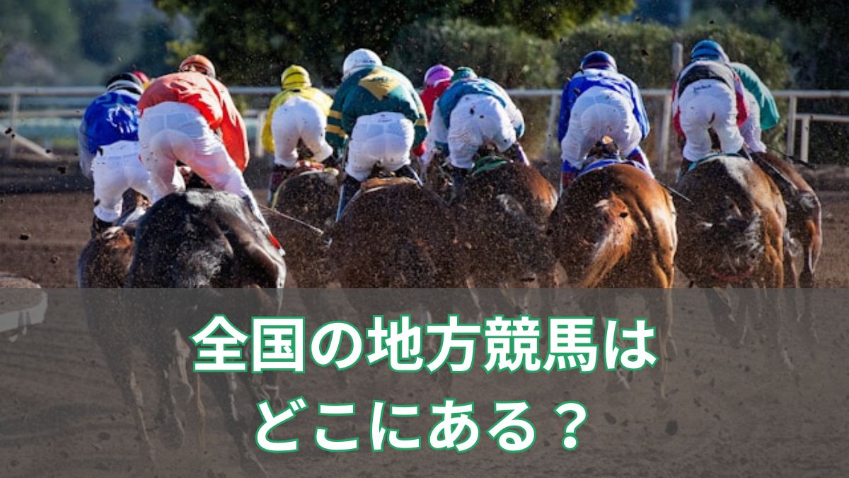 全国の地方競馬はどこにある?全14馬場一覧と各競馬場で誕生した名馬を紹介のアイキャッチ