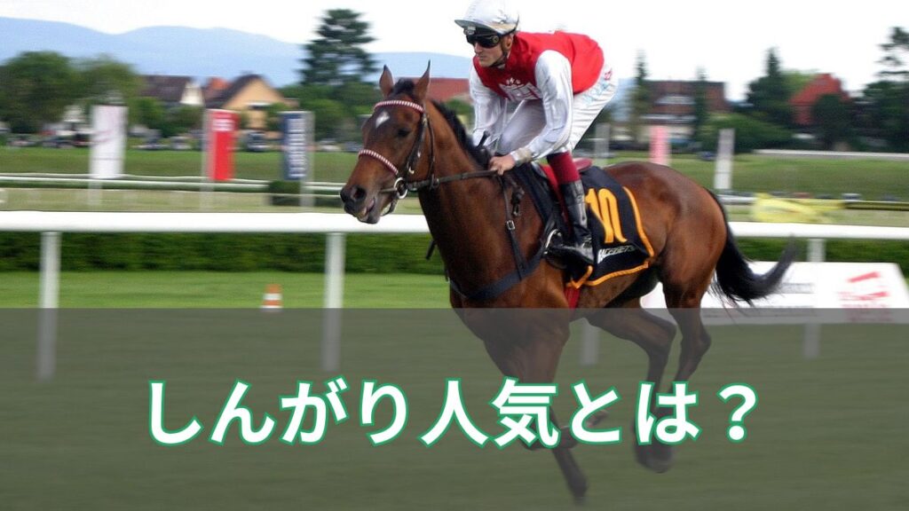 【競馬用語】しんがり人気とは？しんがり人気の意味と過去の勝ち馬を紹介のアイキャッチ