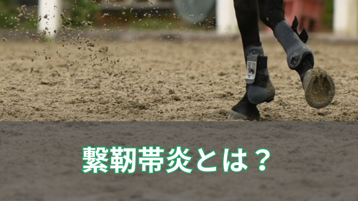 繋靭帯炎の原因とは？復活した馬もあわせて紹介のアイキャッチ