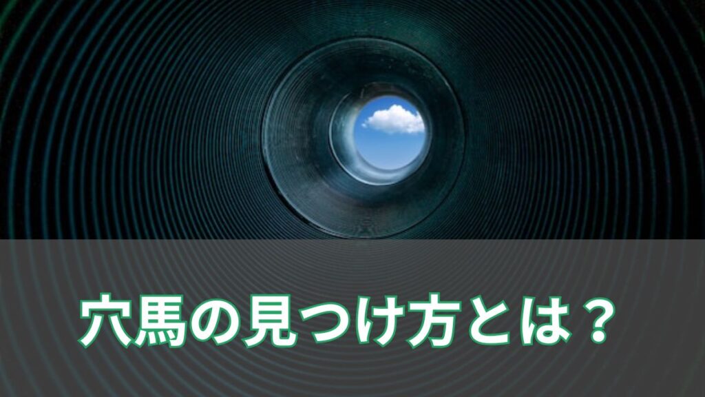穴馬の見つけ方とは？データで穴馬を探す方法を紹介のアイキャッチ