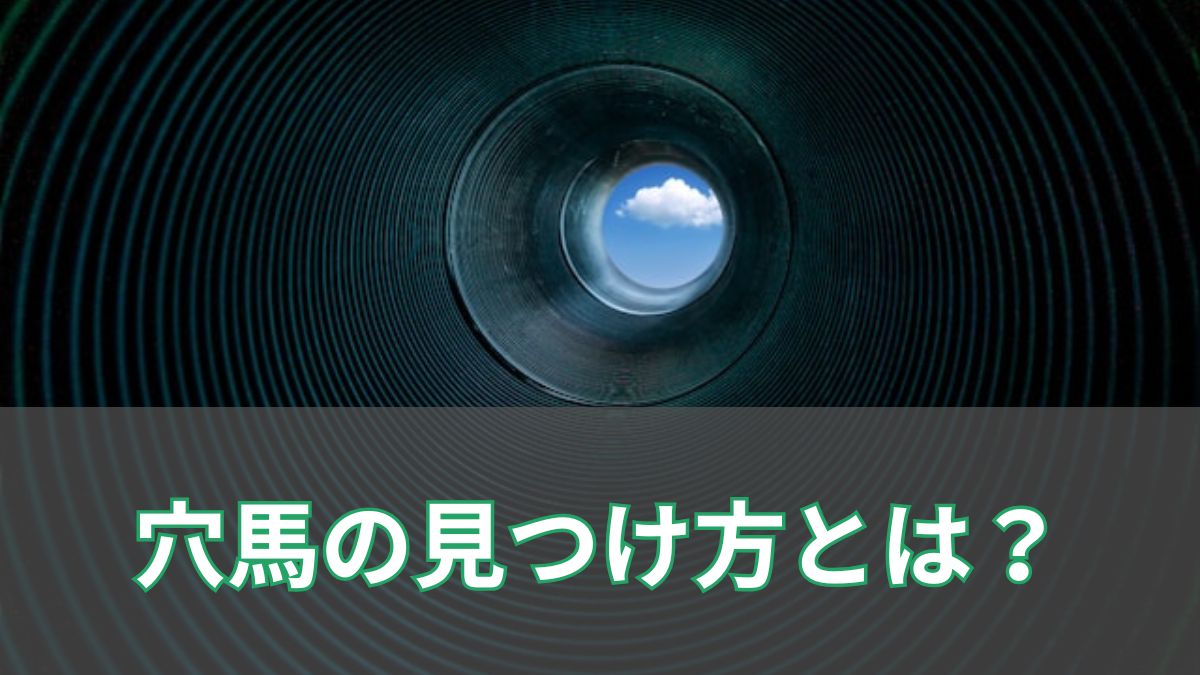 穴馬の見つけ方とは？データで穴馬を探す方法を紹介のアイキャッチ