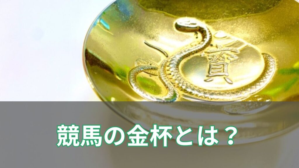 新春に行われる競馬の名物競走【金杯】とは？いつ開催される？のアイキャッチ