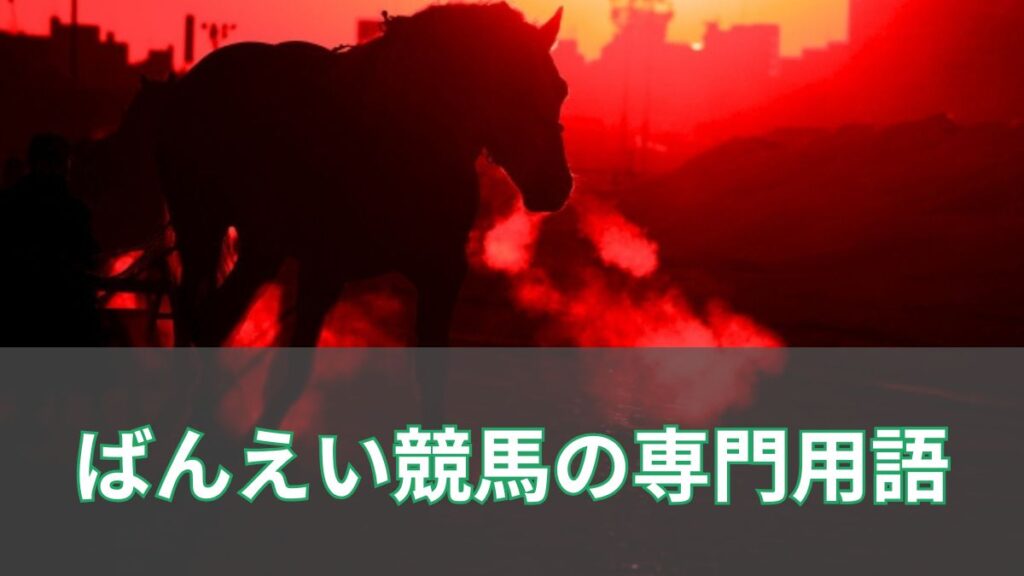 内詰め・外詰めとは？ばんえい競馬の専門用語を解説のアイキャッチ