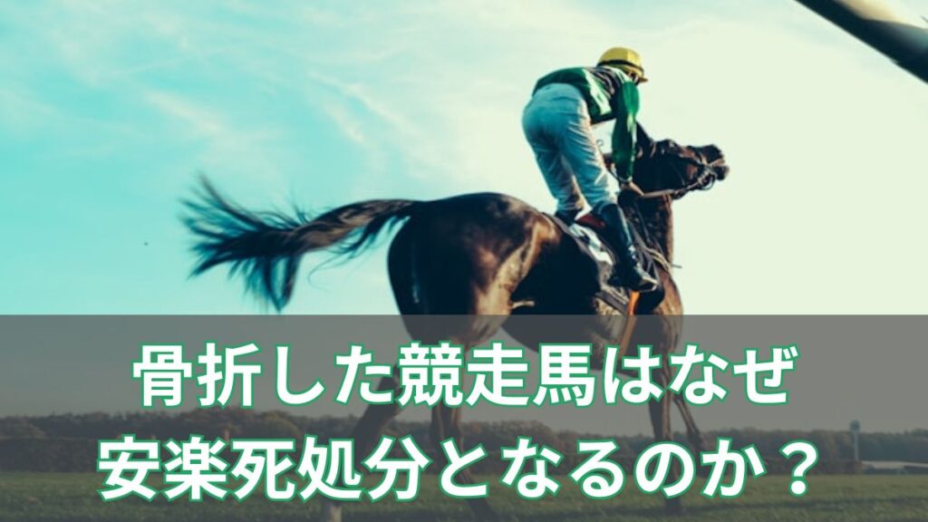 骨折した競走馬はなぜ安楽死処分となるのか？その理由【予後不良も解説】のアイキャッチ