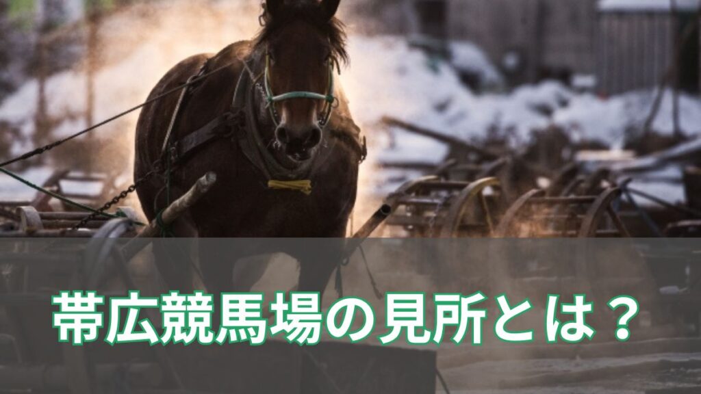 レースだけじゃない！ばんえい競馬が開催される帯広競馬場の見どころ9選【アクセス方法あり】のアイキャッチ