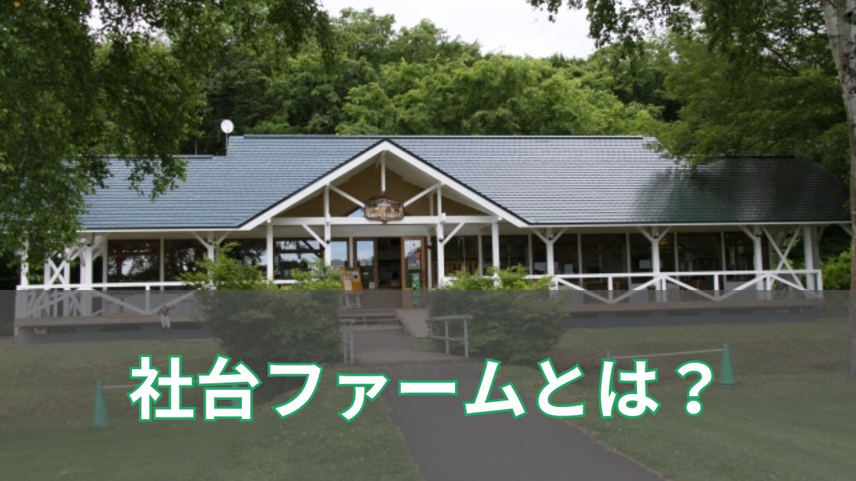 社台ファームとは？日本有数の生産牧場を説明【ノーザンファームの違いも解説】のアイキャッチ