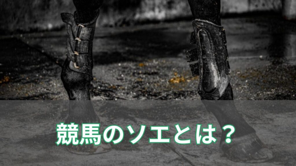 競馬のソエとはどういう意味？症状や影響、治療方法について解説のアイキャッチ