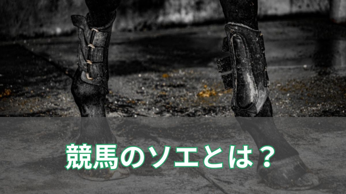 競馬のソエとはどういう意味？症状や影響、治療方法について解説のアイキャッチ