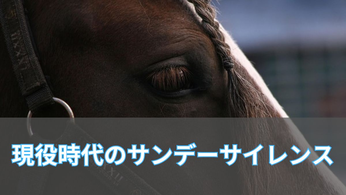 現役時代のサンデーサイレンスの成績と海外の反応【事故も解説】のアイキャッチ