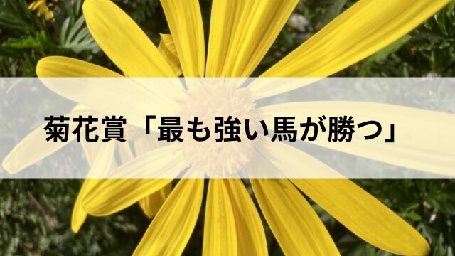 菊花賞の格言