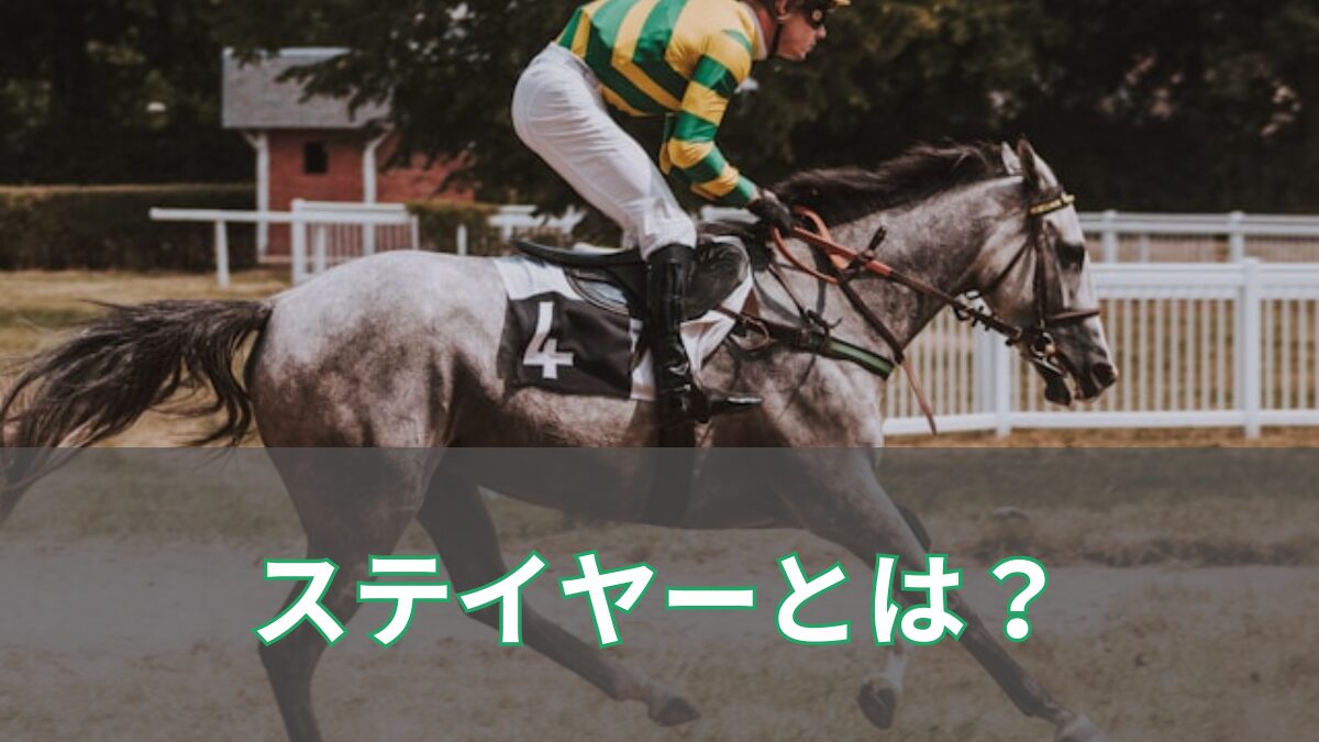 ステイヤーとは？のアイキャッチ