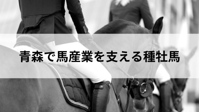 青森で馬産業を支える種牡馬