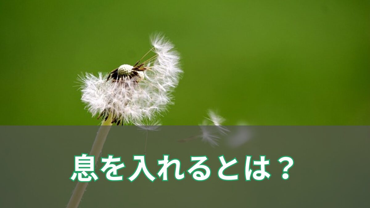 息を入れるとは？のアイキャッチ