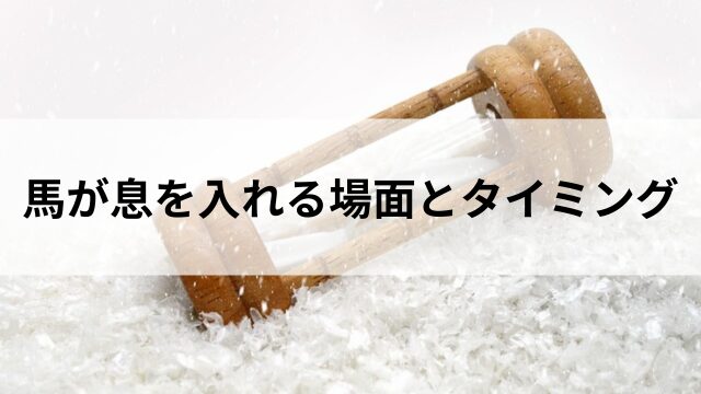 馬が息を入れる場面とタイミングの見出し