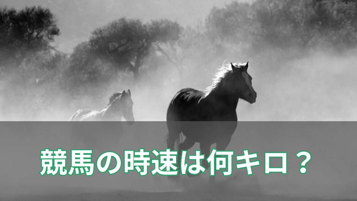 競馬の時速のアイキャッチ