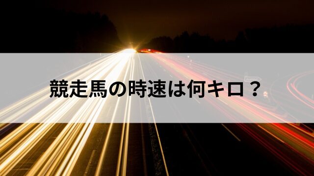 競走馬の時速は何キロ？の見出し