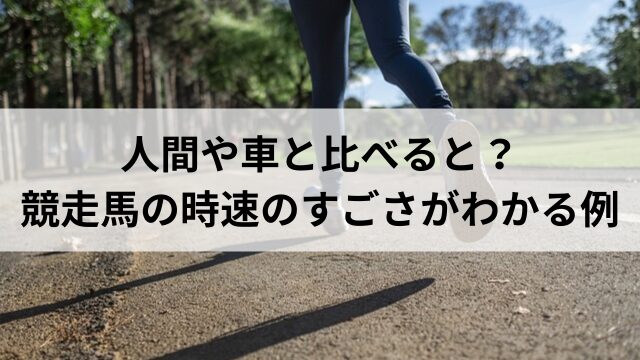 人間や車と比べると？競走馬の時速のすごさがわかる例の見出し