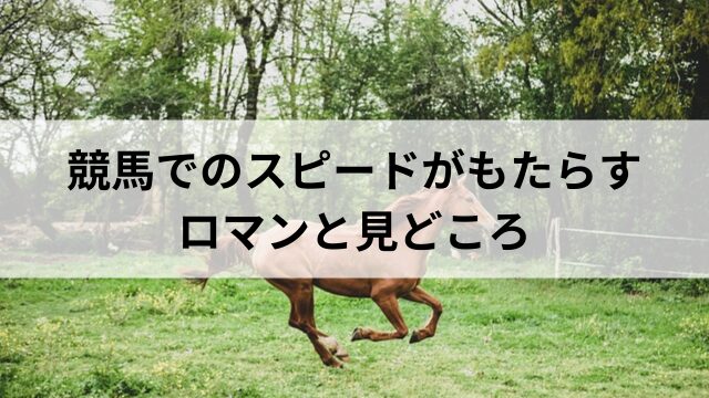 競馬でのスピードがもたらすロマンと見どころの見出し