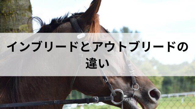 インブリードとアウトブリードの違いの見出し