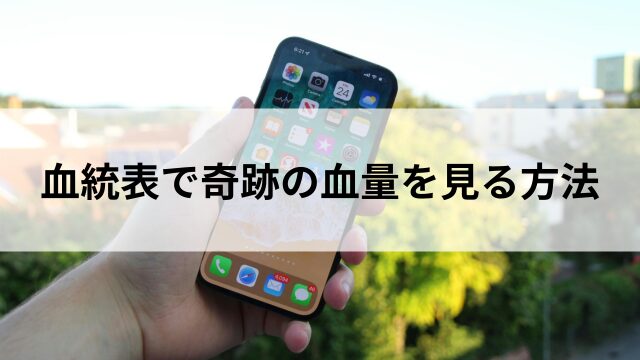 血統表で奇跡の血量を見る方法の見出し