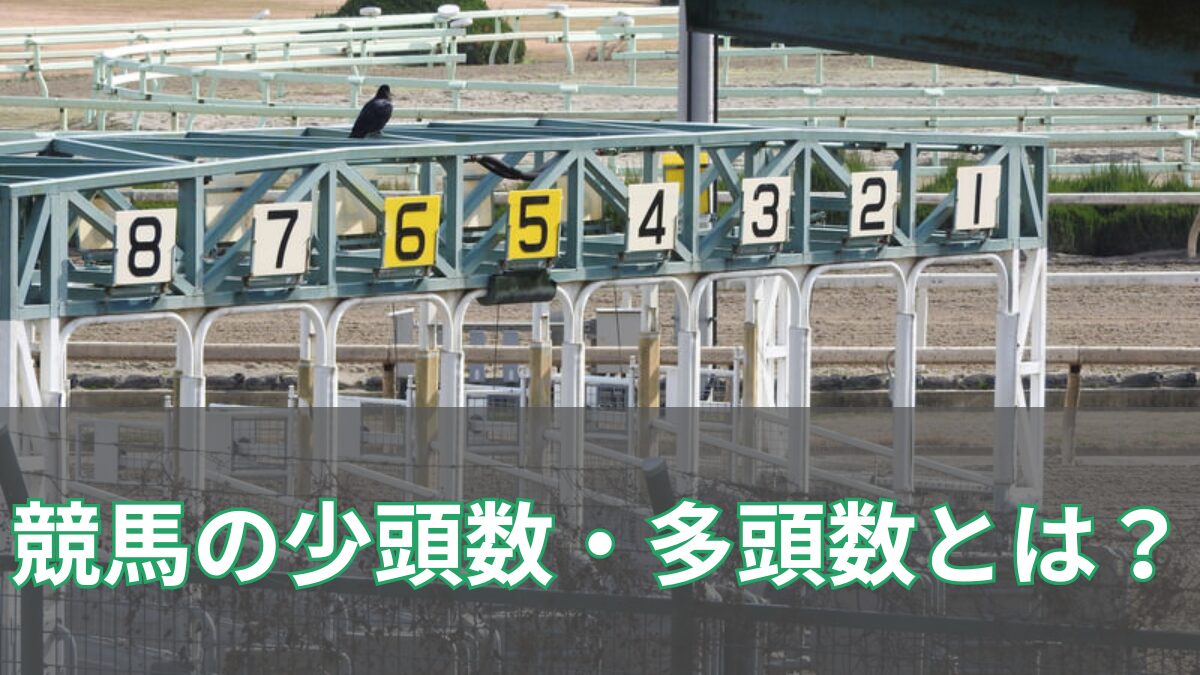 競馬の少頭数・多頭数とは？のアイキャッチ