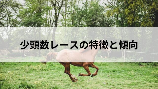 少頭数レースの特徴と傾向の見出し