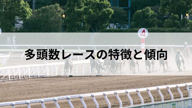 多頭数レースの特徴と傾向の見出し