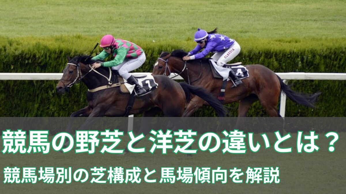 競馬の野芝と洋芝の違いとは？