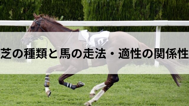 芝の種類と馬の走法・適性の関係性の見出し