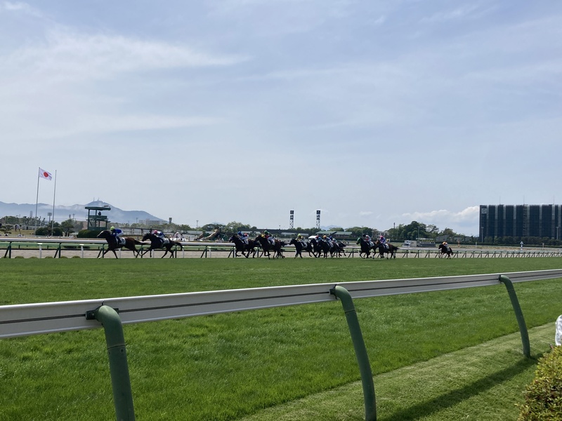 函館競馬のレース