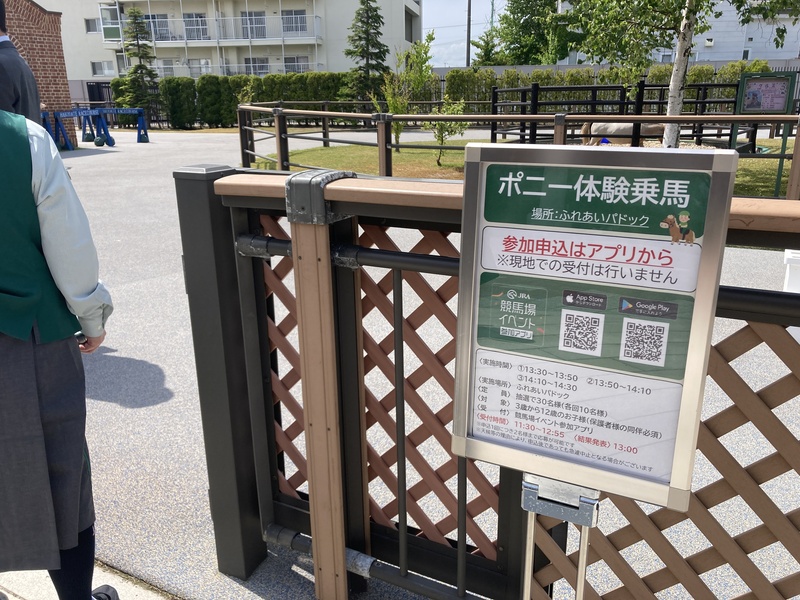 ポニーとの触れあい