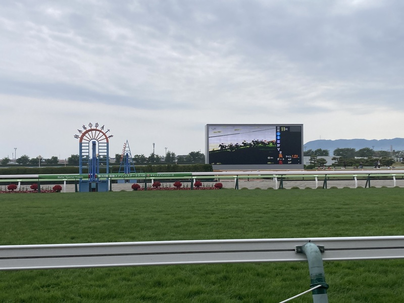 函館競馬のゴール前
