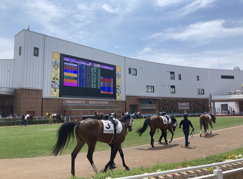 函館競馬のパドック