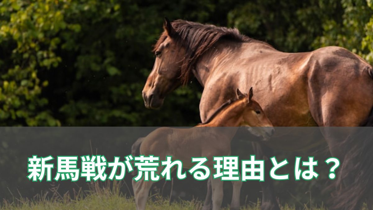 新馬戦が「荒れる」理由と勝利へ導く予想の極意のアイキャッチ