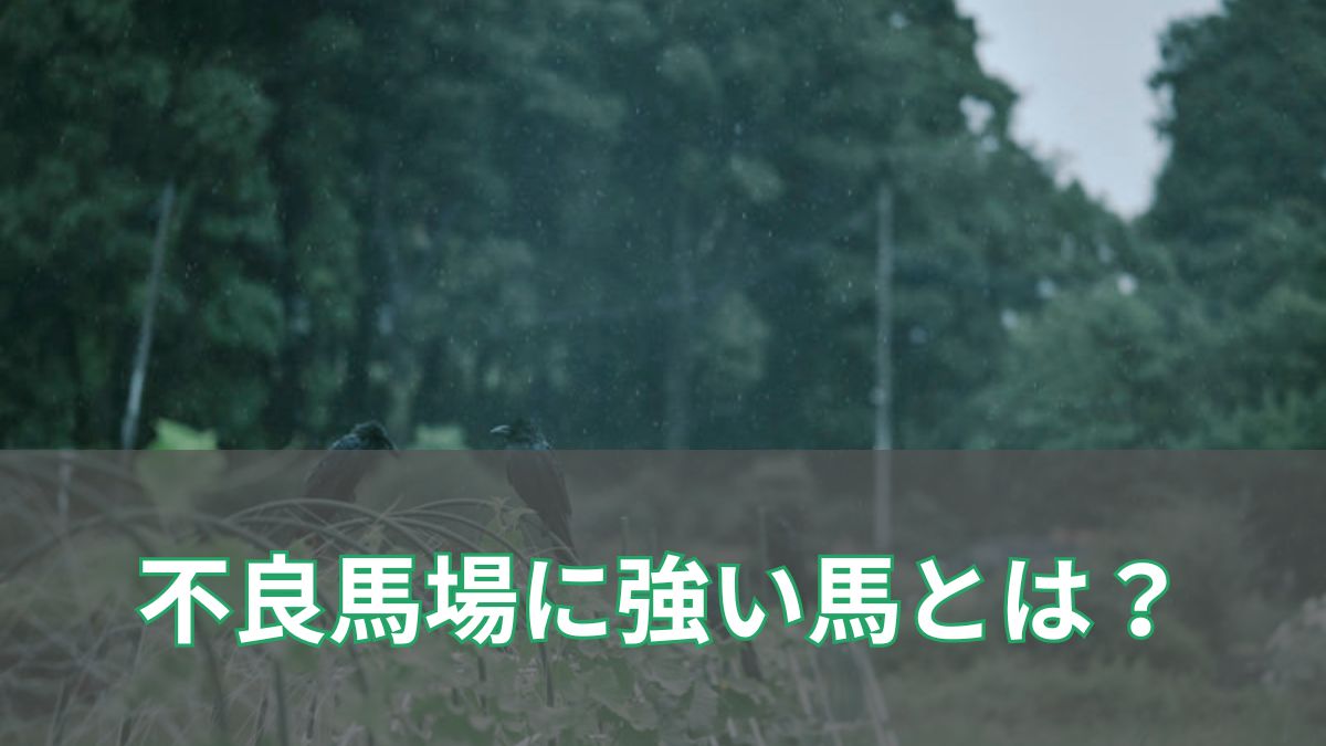 不良馬場に強い馬を見抜く！血統・脚質・枠順から考える好走条件とは？のアイキャッチ
