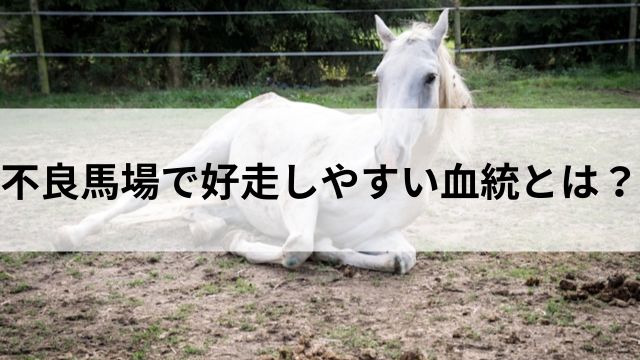 不良馬場で好走しやすい血統とはの見出し