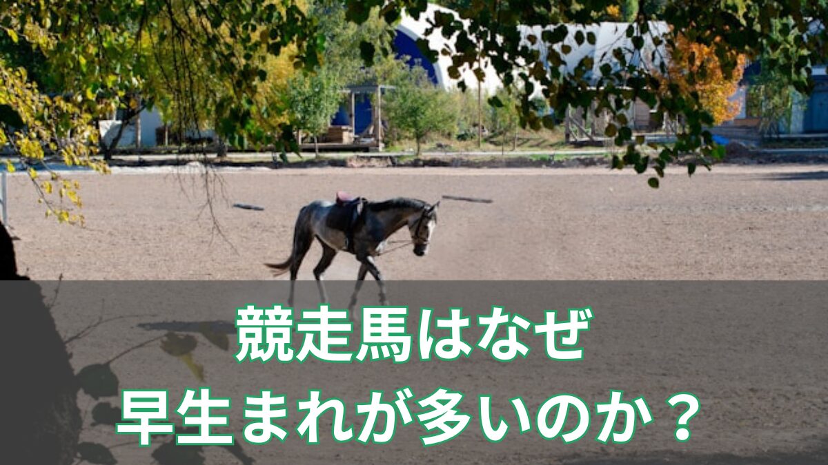 競走馬はなぜ早生まれが多いのか？のアイキャッチ