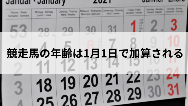 競走馬の年齢は1月1日で加算されるの見出し