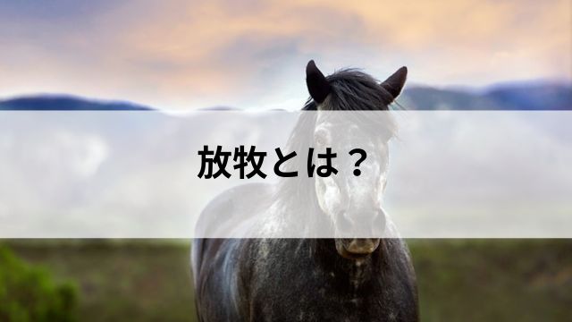 放牧とは?競走馬が牧場で過ごすリフレッシュ期間の見出し