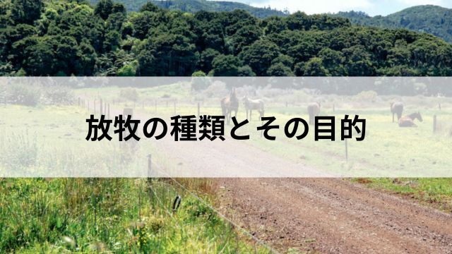 放牧の種類とその目的|短期放牧と長期放牧の違いの見出し
