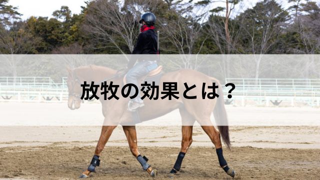 放牧の効果とは?|競走馬にとってのメリットの見出し