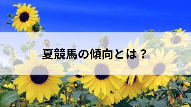 夏競馬の傾向とは?の見出し