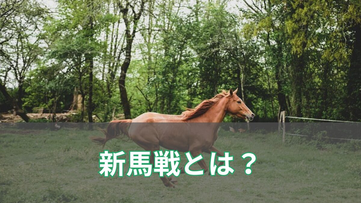競馬初心者必見！新馬戦とは？意味・特徴・楽しみ方まで完全ガイドのアイキャッチ