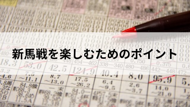 新馬戦を楽しむためのポイントの見出し