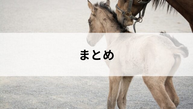 まとめ|新馬戦は競馬の入口であり未来への扉の見出し