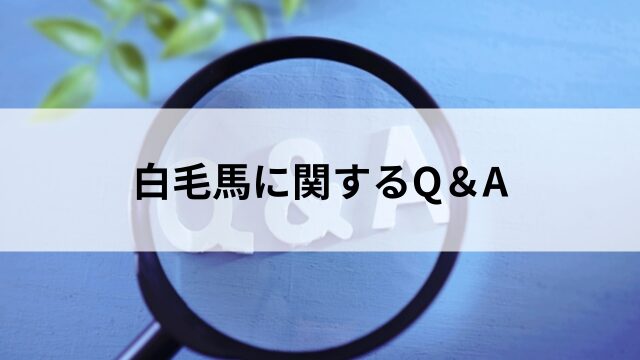 白毛馬に関するQ&Aの見出し