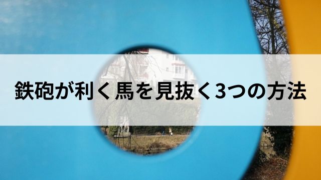 鉄砲が利く馬を見抜く3つの方法の見出し