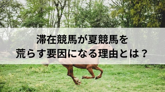 滞在競馬が夏競馬を荒らす要因になる理由とは?の見出し